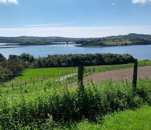 Delamont Country Park Paisagem verde com um enorme lago a frente na Irlanda do Norte Reino Unido