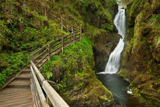 Glenariff Forest Trilha e cachoeira na Irlanda do Norte Reino Unido