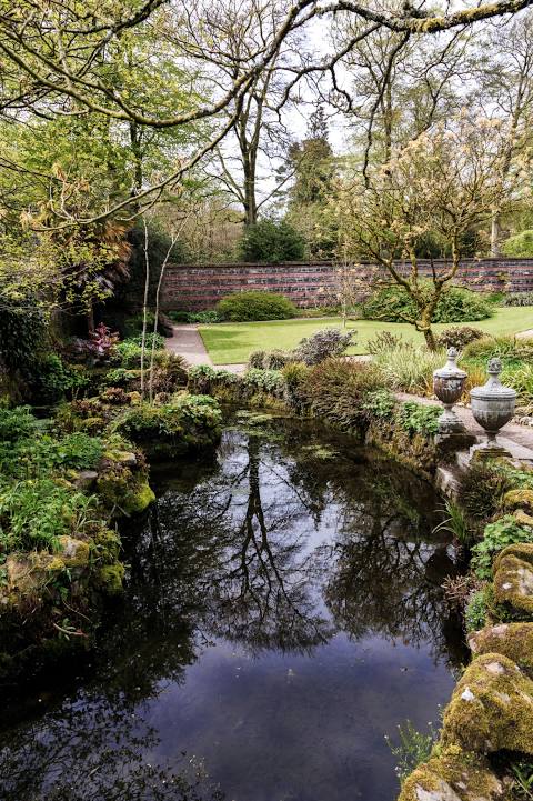 National Trust - Rowallane Garden Jardim na Irlanda do Norte Reino Unido